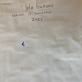 Mixed Media Painting by Lola Baltzell, 