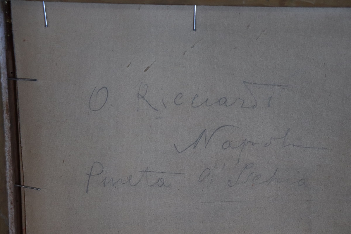 Oil Painting on Board, Italian, Landscape of Ischia, Signed Ricciardi - Image 9