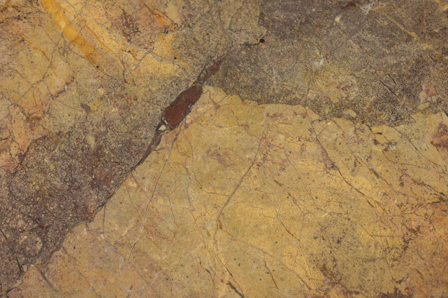 Rectangular Marble Coffee Table by Sarrancolin, Contemporary - Image 8