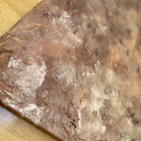 Painting by Sharin Schober, 