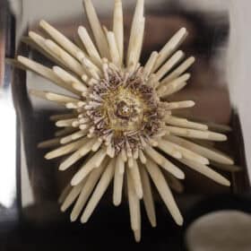 Polished Metal Wall Sconces, Pair, 1970s