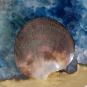 “Black Mother-of-pearl” Lights, Pair, Contemporary Work