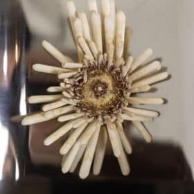 Polished Metal Wall Sconces, Pair, 1970s