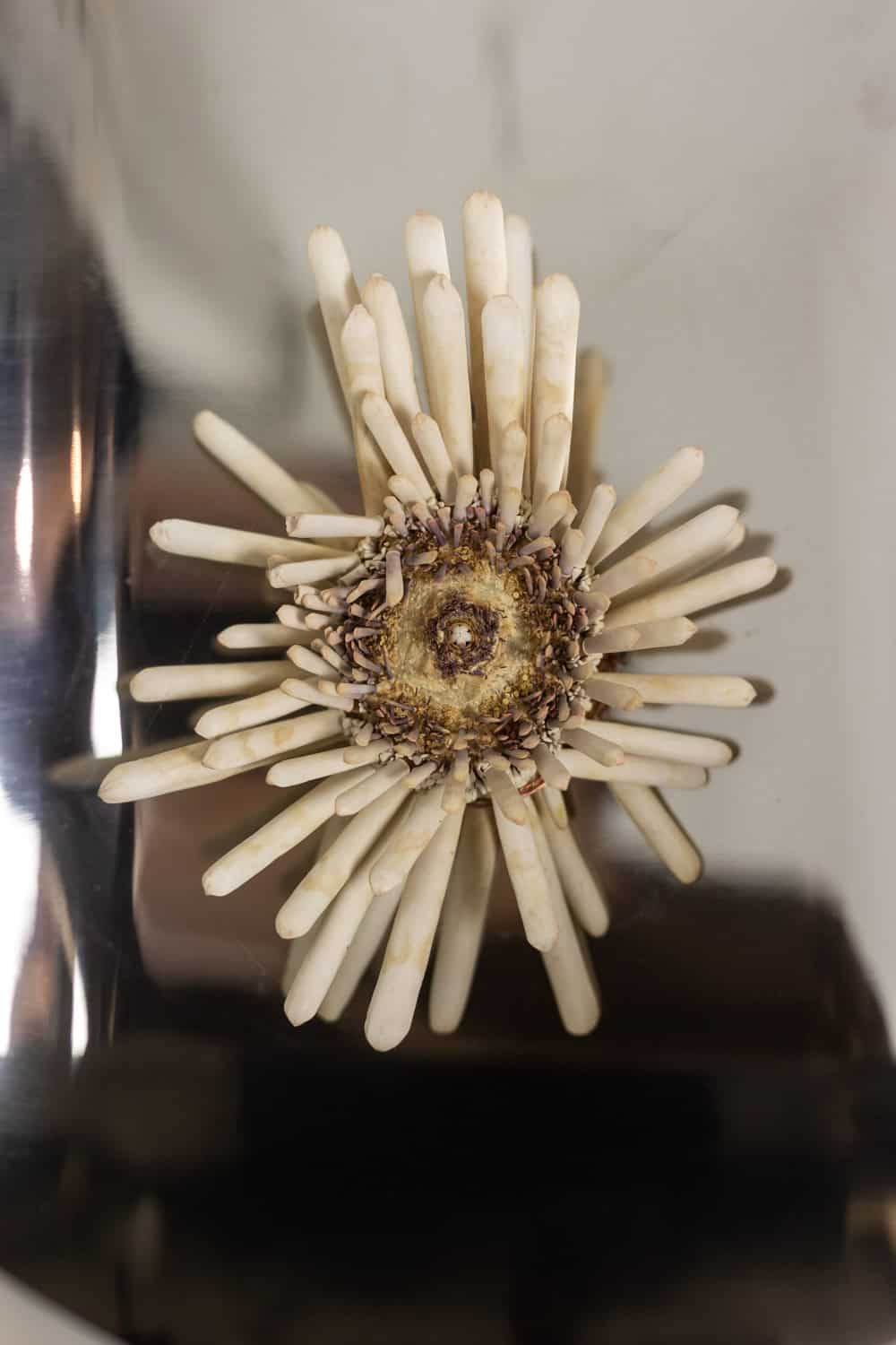 Polished Metal Wall Sconces, Pair, 1970s - Image 6