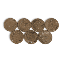 Set of 7 Fossil Marble Plates - Styylish