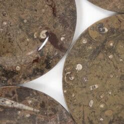 Set of 7 Fossil Marble Plates - Detail Two - Styylish