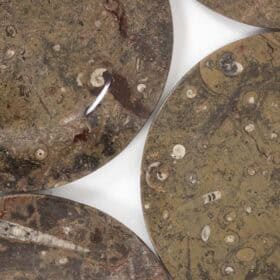 Set of 7 Fossil Marble Plates