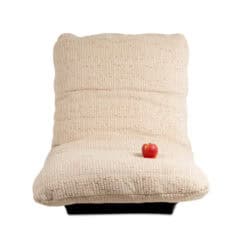 Michel Ducaroy Marsala Armchairs for Ligne Roset - Front View with Apple - Styylish