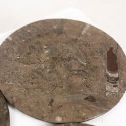 Set of 7 Fossil Marble Plates - Detail Three - Styylish