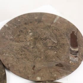 Set of 7 Fossil Marble Plates