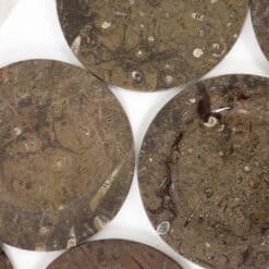 Set of 7 Fossil Marble Plates - Detail Five - Styylish