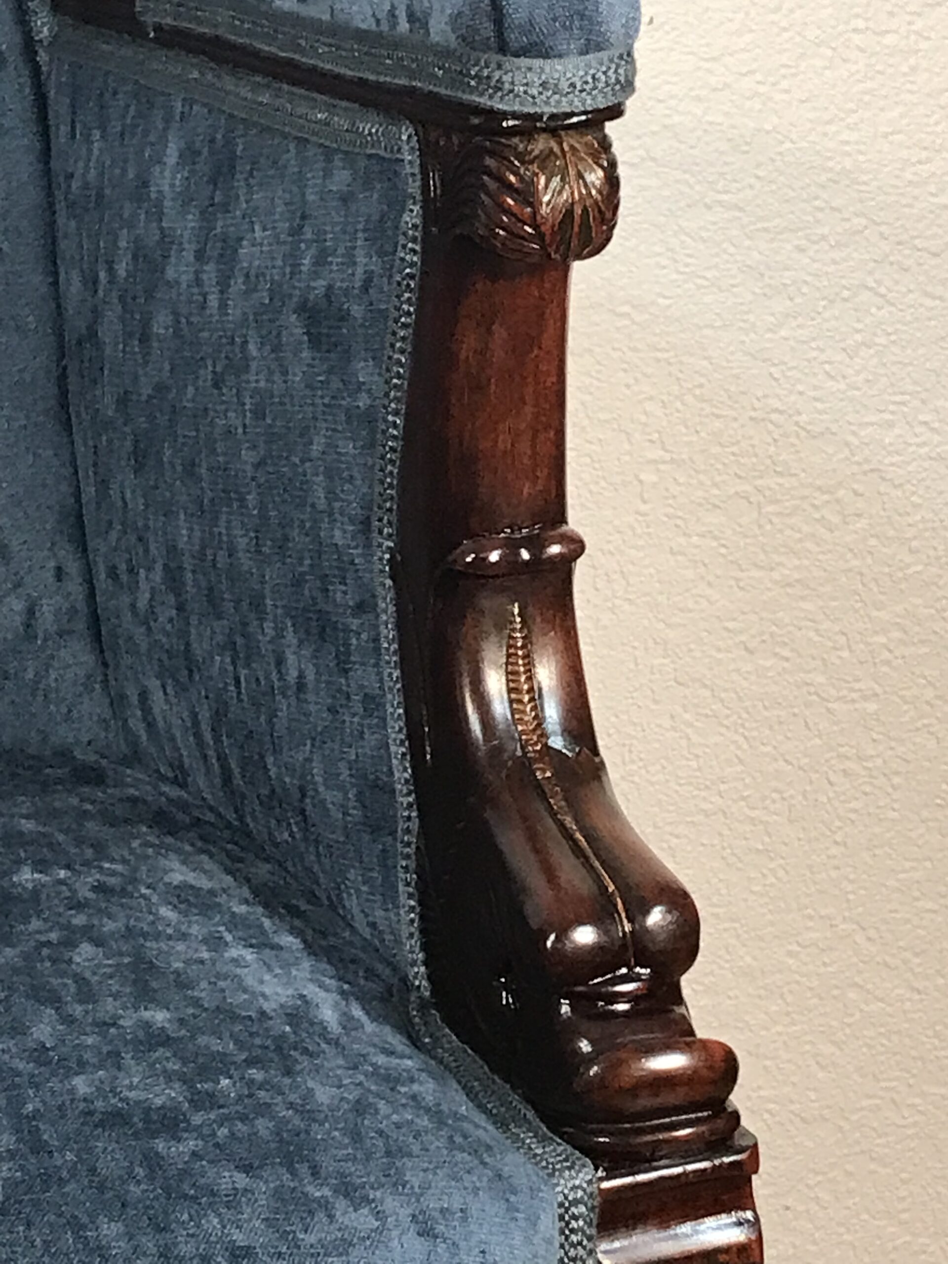Antique Empire Mahogany Bergère, France 1800 - Image 4