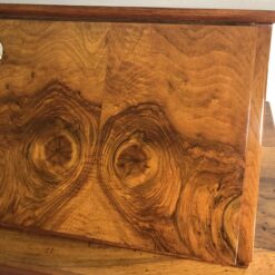 Biedermeier Walnut Secretary Chest of Drawers, circa 1820 - Image 7